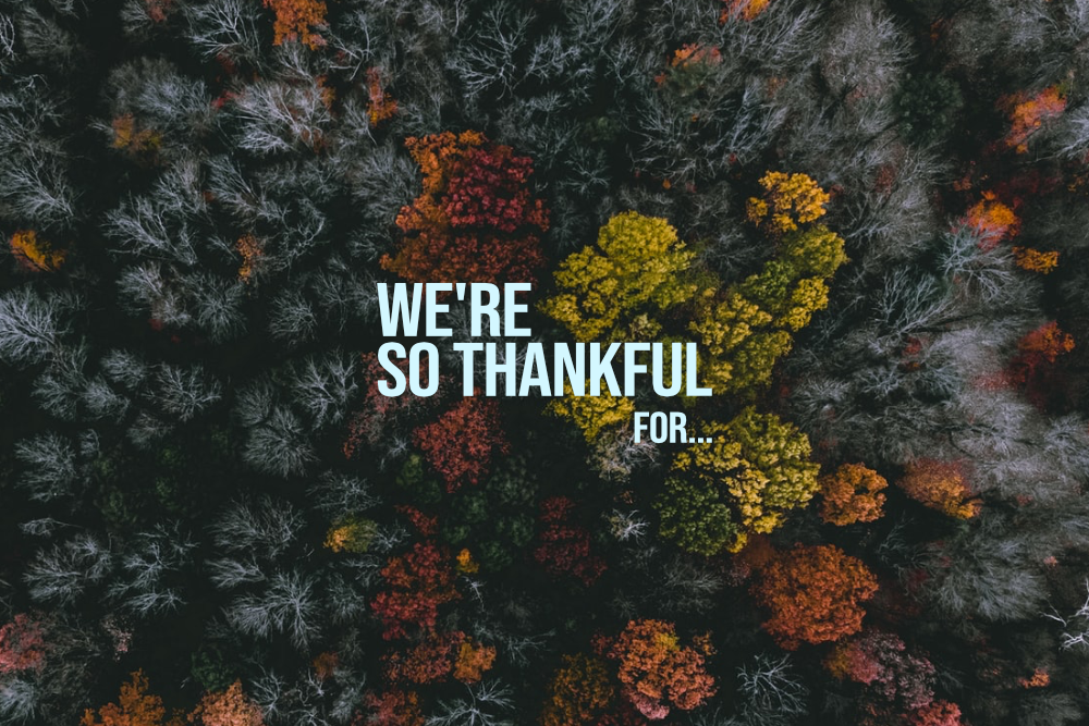 Thanksgiving Break — What Are You Thankful For? 