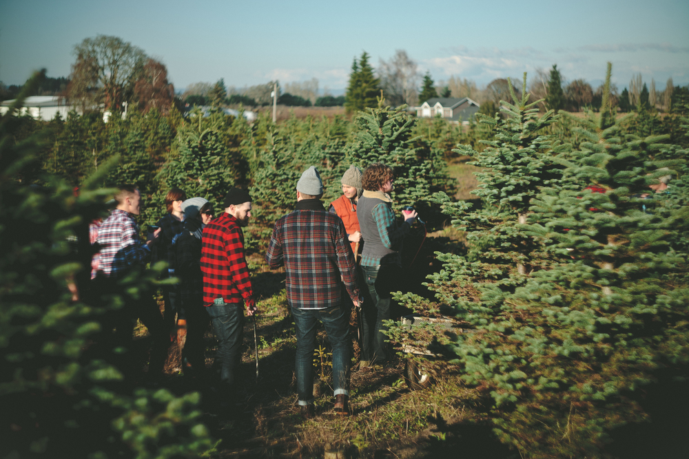 The gang hunts down the perfect twig.