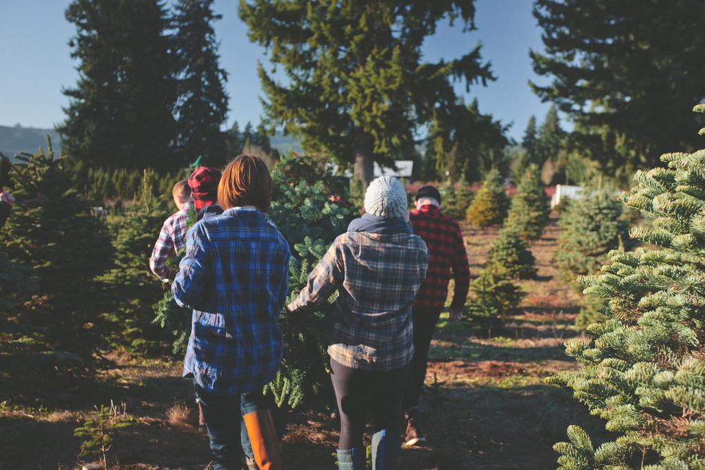 With Latte's in hand, Amy and Sarah help the crew carry the tree back to the car.