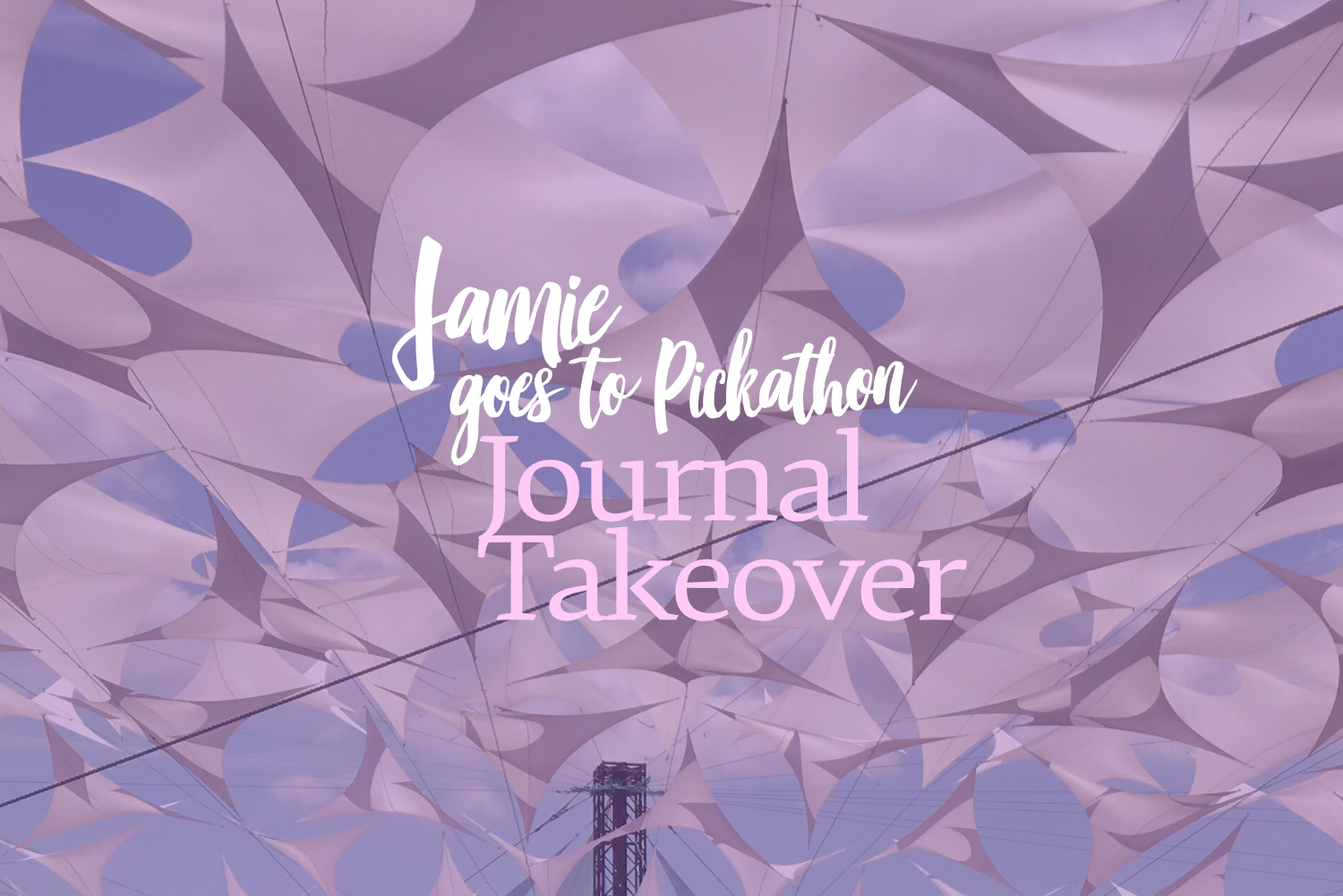 Journal Takeover: Jamie Goes to Pickathon