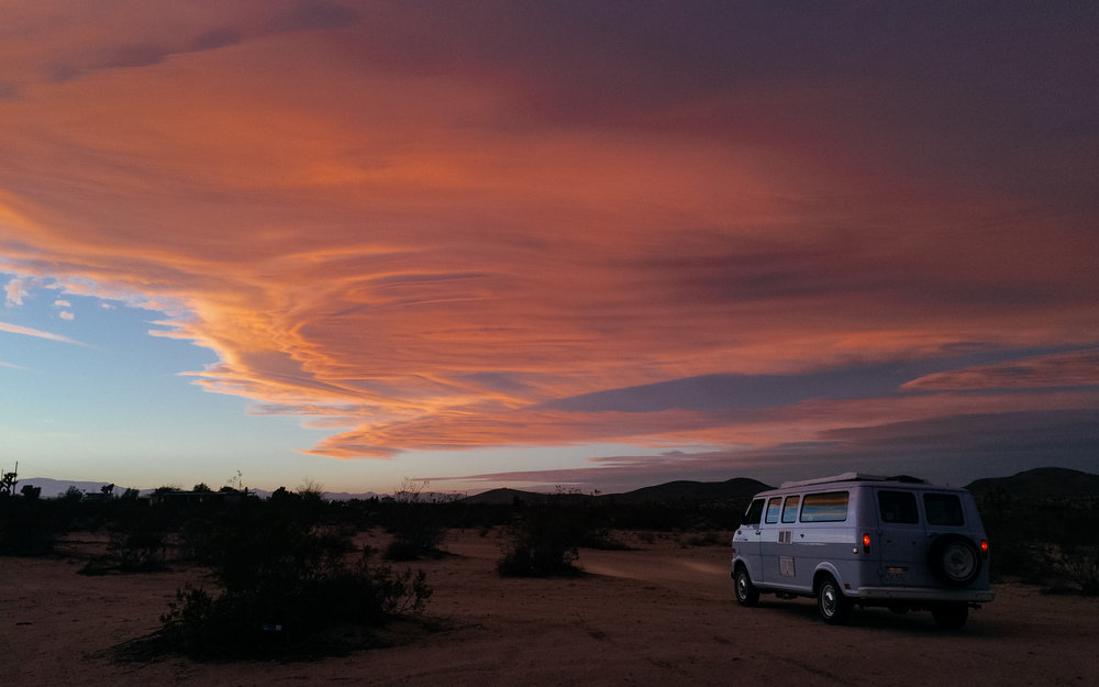 Joshua Tree.jpg