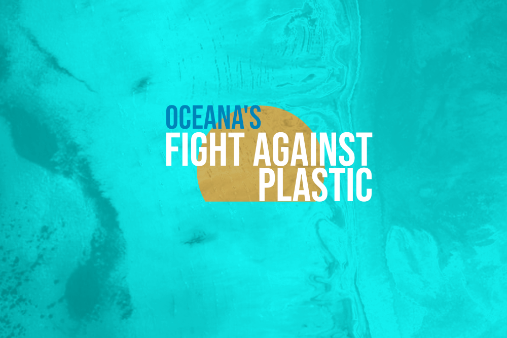 Oceana Fights the Good Fight Against Plastic