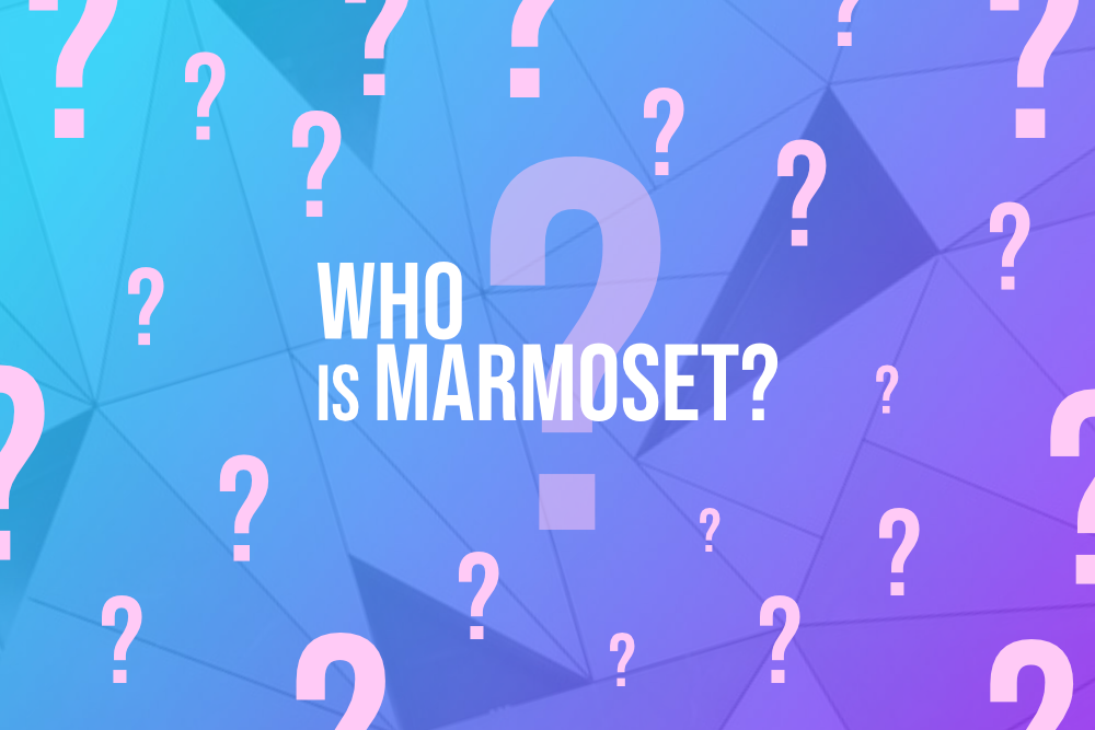 Who is Marmoset? We'll Explain Everything
