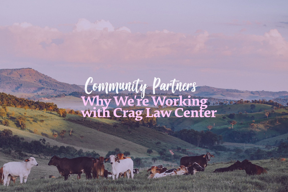 marmoset-community-partners-crag-law-center.png